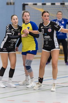 Bild 250 - F HSG Pinnau2 - Rellinger TV2 : Ergebnis: 27:20